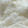 fluff pulp