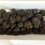 fresh quality black tuber uncinatum 