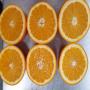 excellent orange origine maroc