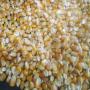 yellow maize / corn (for animal feed)