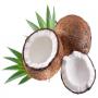 coconuts powder 