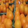 exportation 80 tonnes d'orange  tunisie 