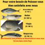 poissons produits en mauritanie