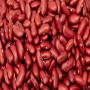 looking to sell our red kidney & sugar beans