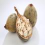 le fruit de baobab , et en poudre