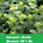 grossiste menthe marocaine bio , coriandre,  persil