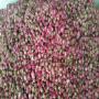 dried organic damascena rose buds 