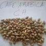 café arabica et robusta disponible