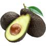 vente avocats mexicains premium extra frais