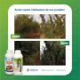 fertilisants et supports des cultures 