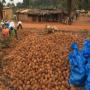 noix de coco , coco râpé et de l'attiéké