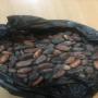 premium cocoa beans for sale