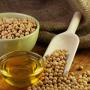 refined soybean oil 