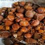 cattle gallstones