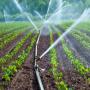 service d'irrigation agricole