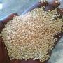  sesame seeds supplier from sudan