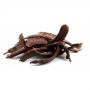 carob 