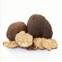 vente truffe aestivum 