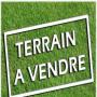 vente et location de terrains