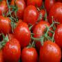  livraison en gros de tomates disponible.