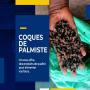 coques de palmiste/  palm hulls