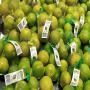 toute les fruits en déstockage