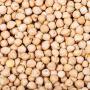 required white chick peas (kabuli chana)