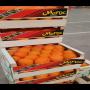 orange navel disponible pour l'export