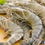 crevette/gambas/langoustes...