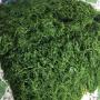 super sea lettuce / ulva lactuca all natural 