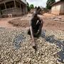 produits agricoles côte d'ivoire 