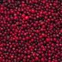 frozen red currant (сranberry). class a