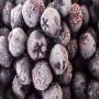 frozen wild-growing black chokeberry (aronia). a