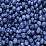 frozen wild blueberries. class a,  b