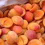 frozen apricot. class a