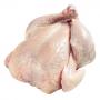 vente poulet de chair