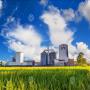 agriculture intensive,  industrie agro-alimentaire