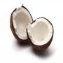 noix de coco - togo - fruits et legumes d'afrique