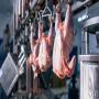 approvisionnement pour un abattoir volailles