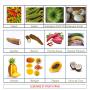 producteurs ou distributeurs de fruits et legumes