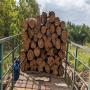 fournissseur de bois de teck 