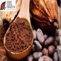 recherche clients pour cacao ivoirien & dérivés