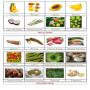 formation - conseil pour vendeur fruits - legumes