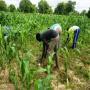 achat et vente des produits agro-alimentaire 