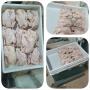 poulets fermiers en vente en gros