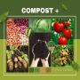 compost +