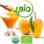 puree de mangue bio | organic mango puree