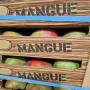 mangues et ananas,  frais et secs origine afrique