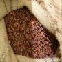 coffee beans,  nescafe 3in1 coffee,  cocoa beans