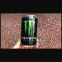 monster energy drink all flavors available (pack 